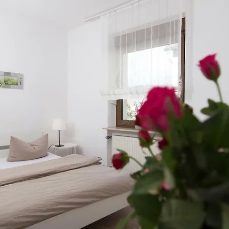 Gastehaus La Mula 2*