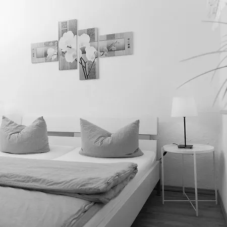 Gastehaus La Mula 2*