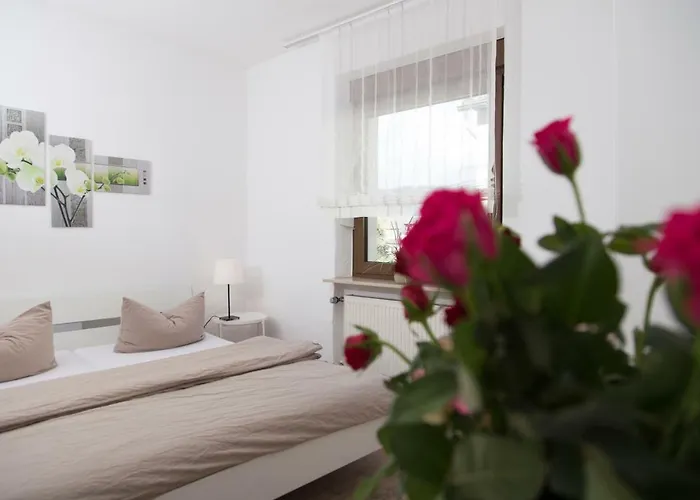 Gastehaus La Mula 2*